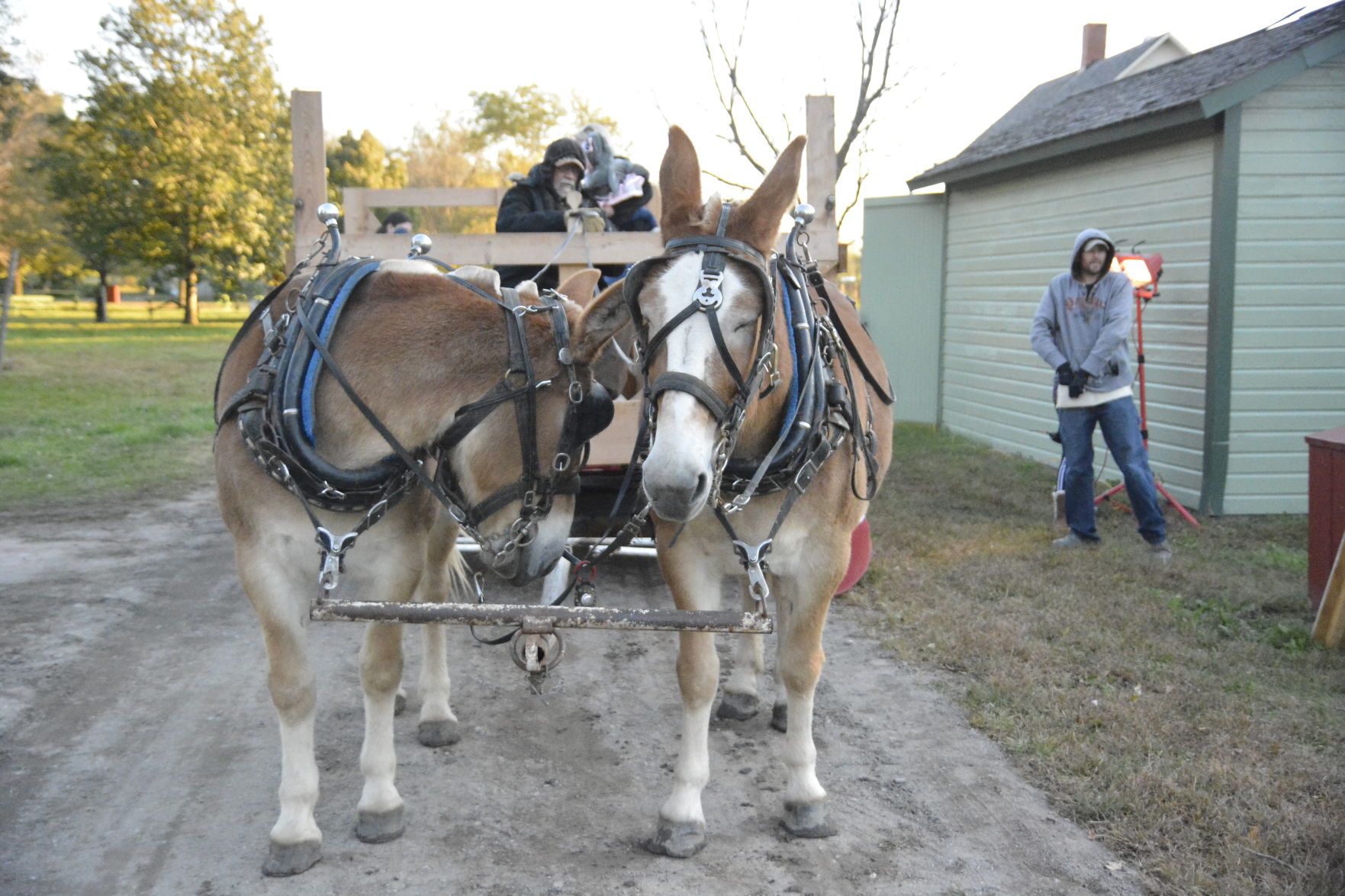 10-11-19 Stuhr All Hollows Eve (78).JPG